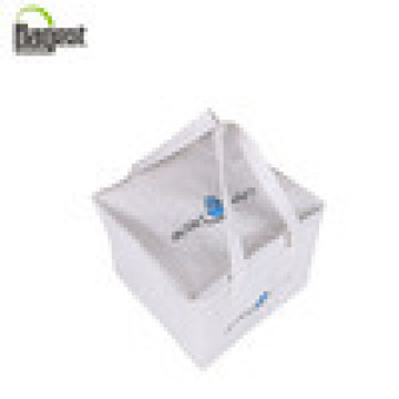 Sedex Promotional Hot Selling Non Woven Cooler Bag for Bottles